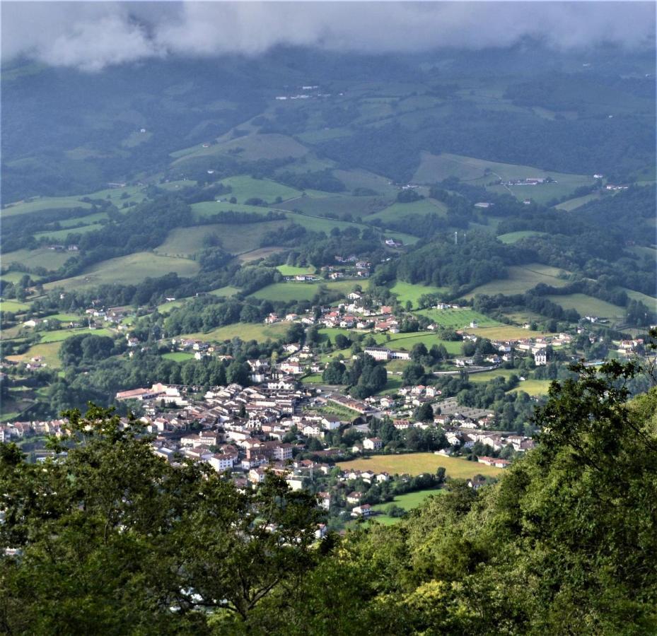 Loretxea