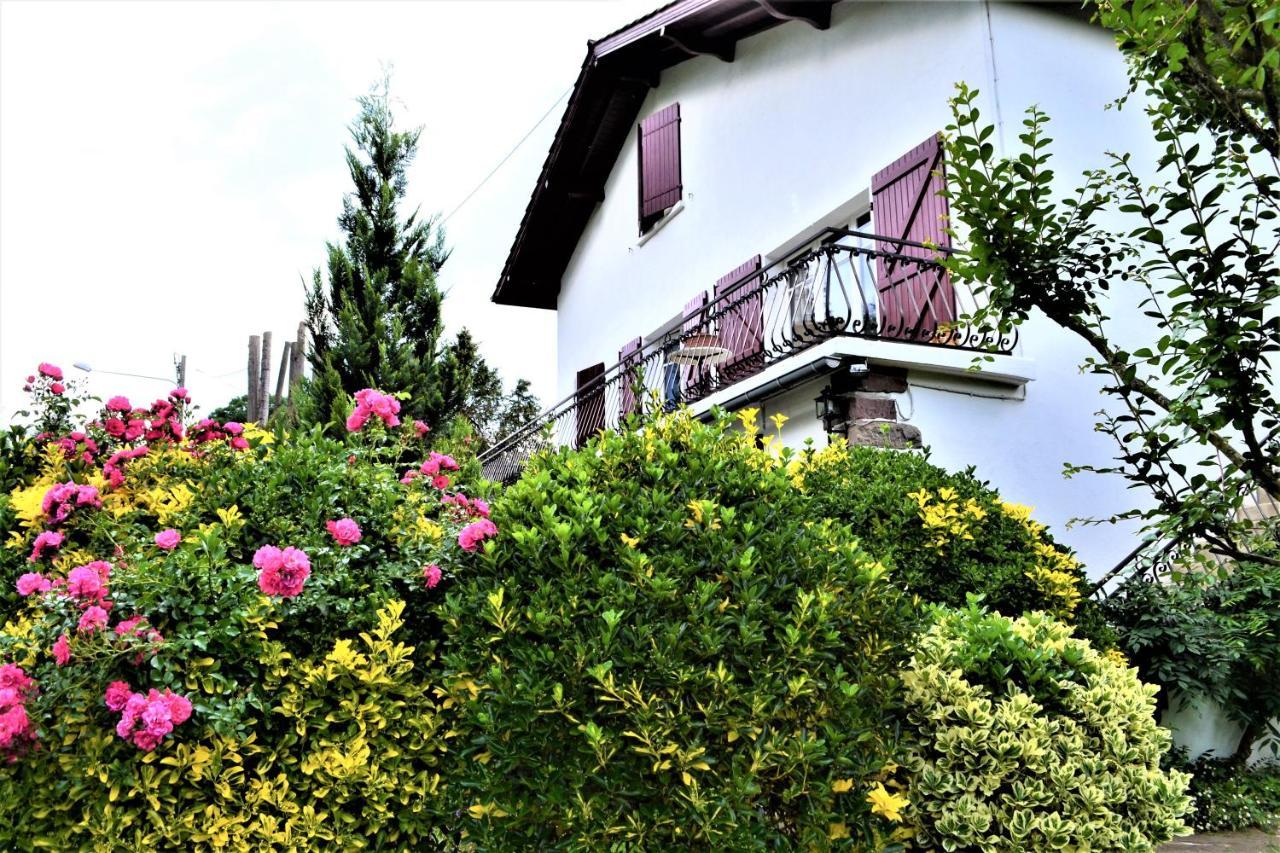 Loretxea