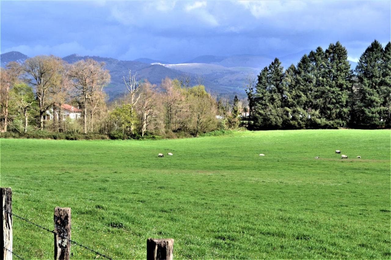 Loretxea Apartment Ispoure